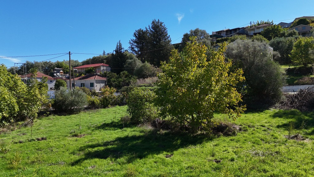 Kondarena Village Plot 01.jpg